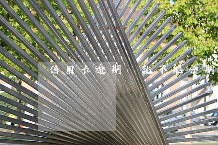 信用卡逾期 就不能分期 信用卡逾期 就不能分期